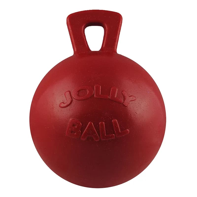 Jolly Pets piłka z uchwytem niebieski M
