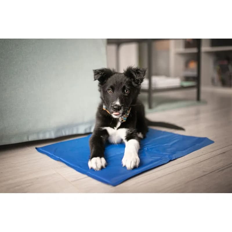 Pet Supplies Mata chłodząca dla psa i kota – 90 x 50
