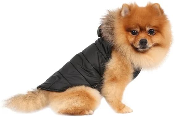 DoggyDolly czarny płaszczyk z futerkowym kapturem dla małego psa M