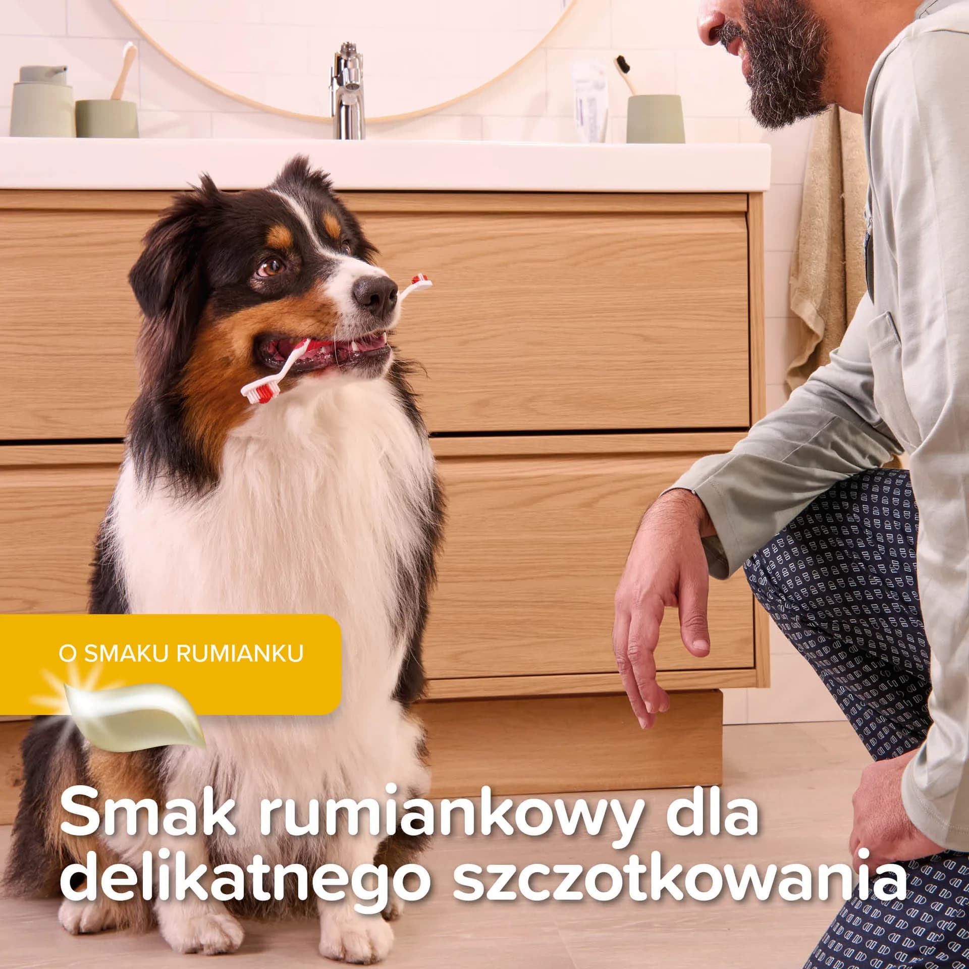 Beaphar Puppy Dental Kit zestaw szczoteczki dla szczeniąt i naparstkowa + pasta do zębów