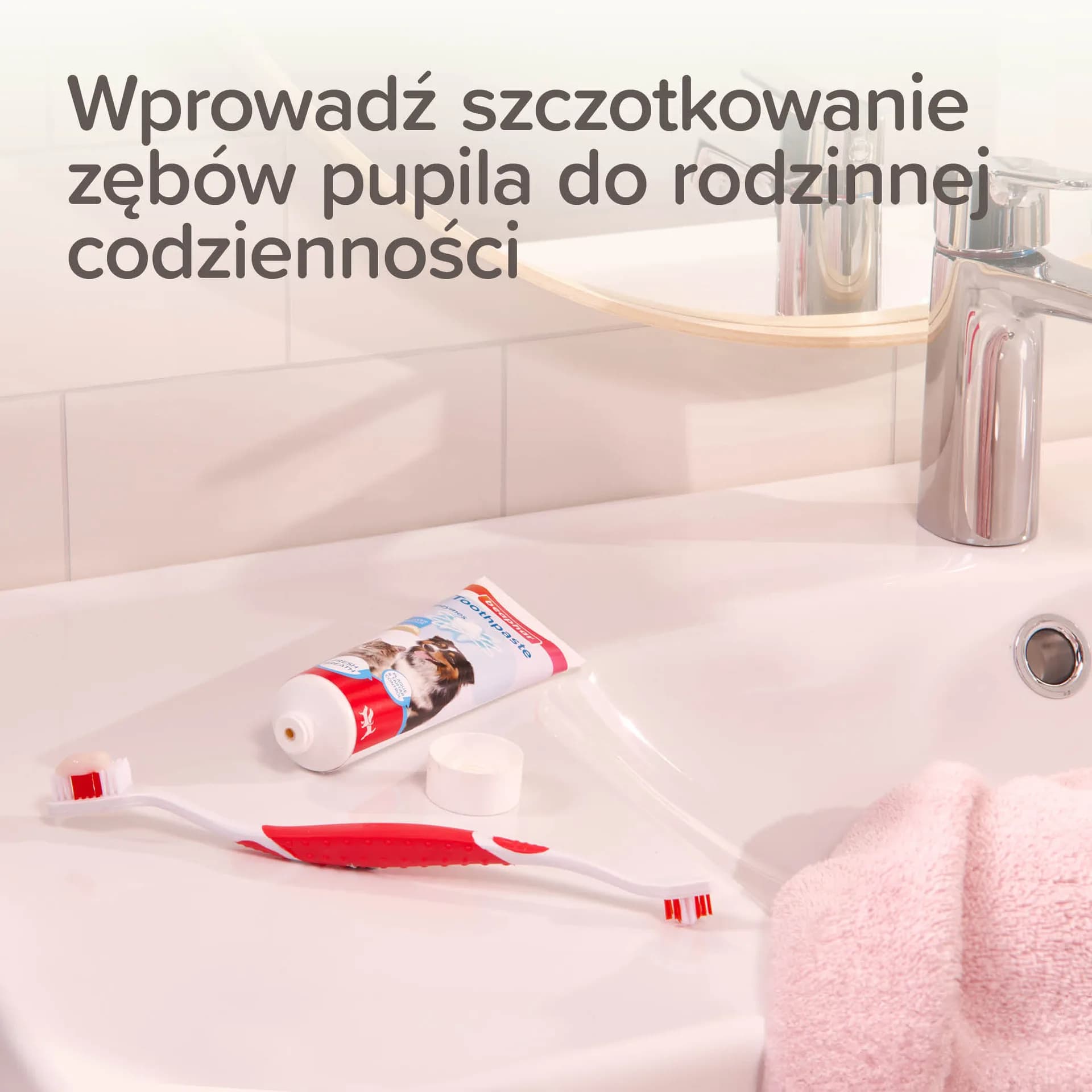 Beaphar zestaw do higieny jamy ustnej dla psów i kotów: szczoteczka + pasta do zębów