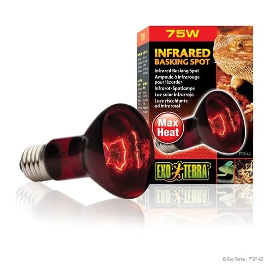 Exo-Terra Żarówka grzejąca Heat Glo – 50 W
