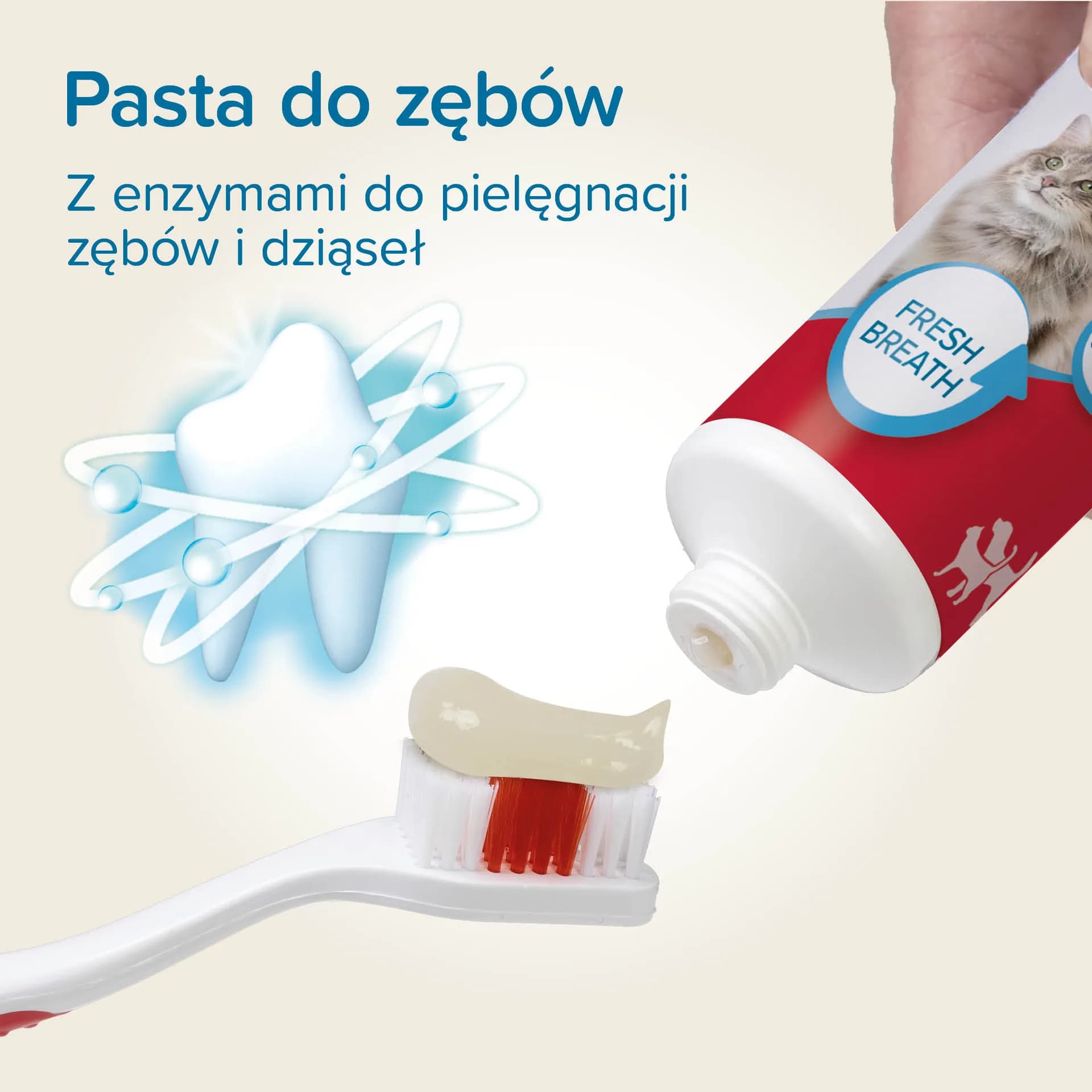 Beaphar pasta do zębów dla psa i kota o smaku mięsa