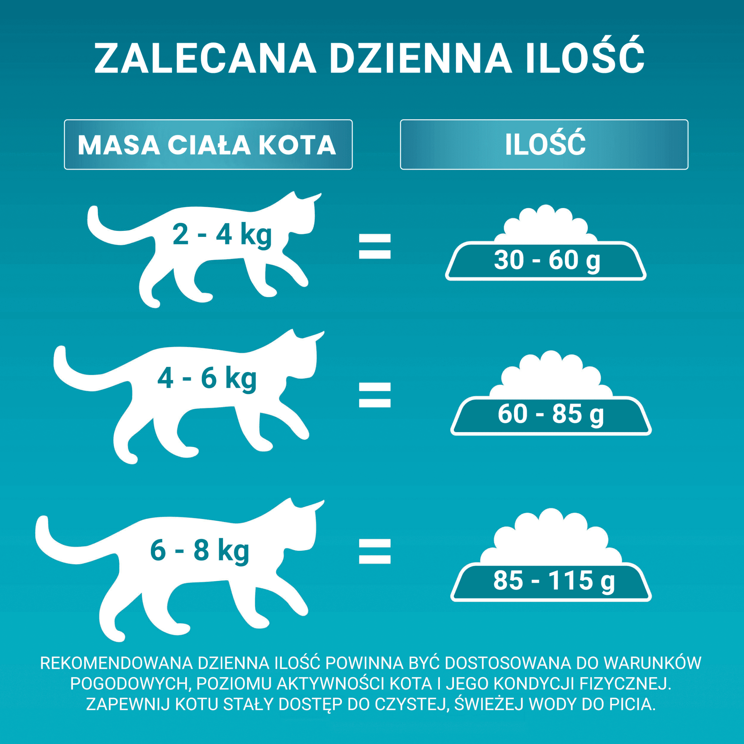 Purina ONE Adult Bifensis karma sucha z łososiem dla dorosłych kotów 9 75 kg