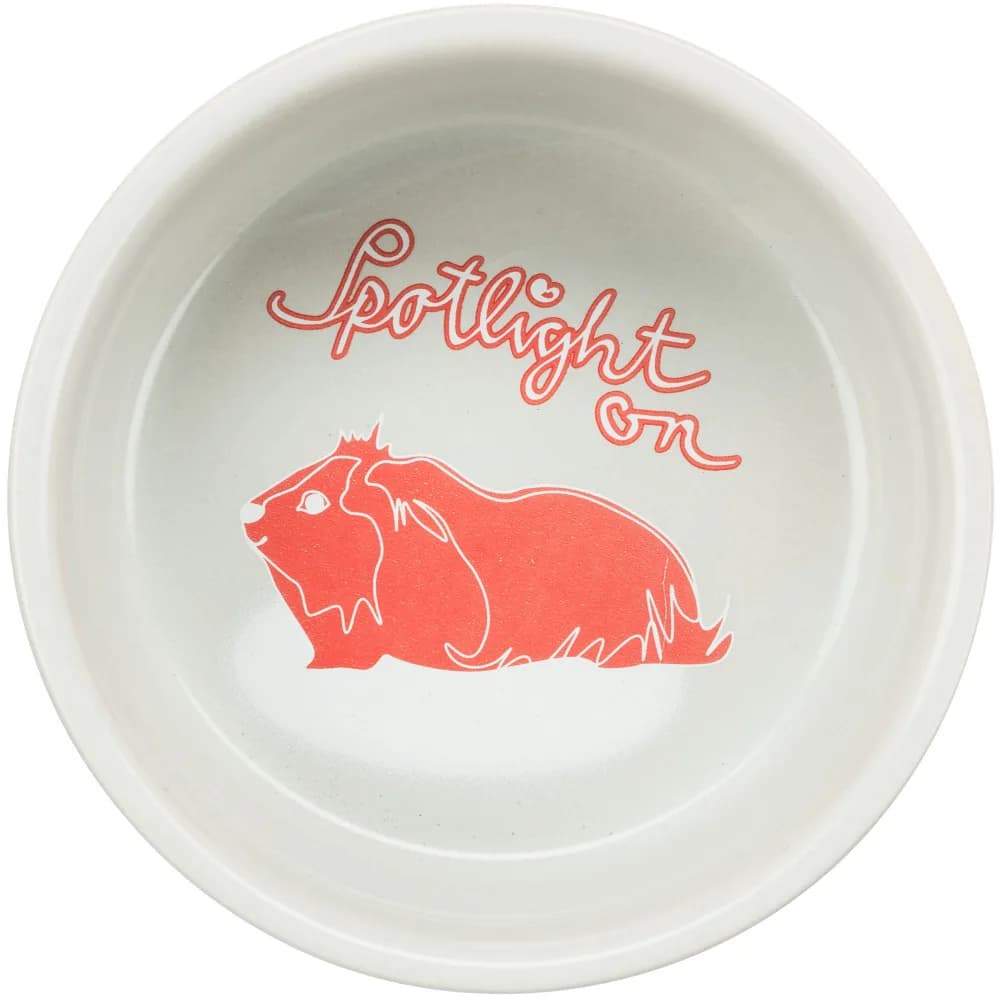 Trixie miska ceramiczna dla gryzoni dla świnki morskiej ø 11 cm 250 ml