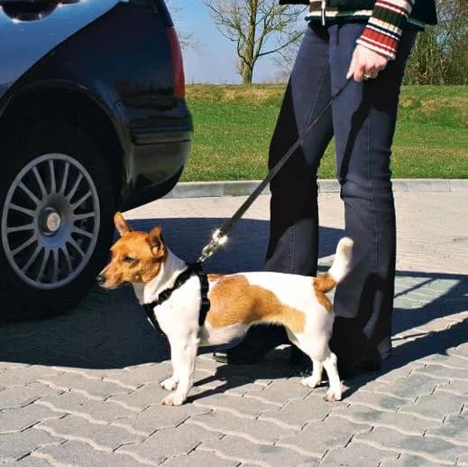 Trixie Szelki samochodowe dla psa z krótką smyczą – czarny, XS
