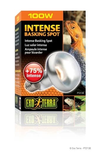 Exo-Terra Żarówka Day Glo Basking Spot – 50 W