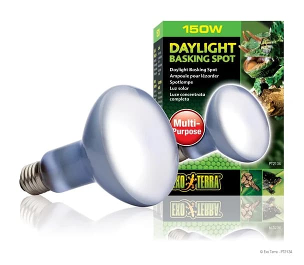 Exo-Terra Żarówka Day Glo Basking Spot – 50 W