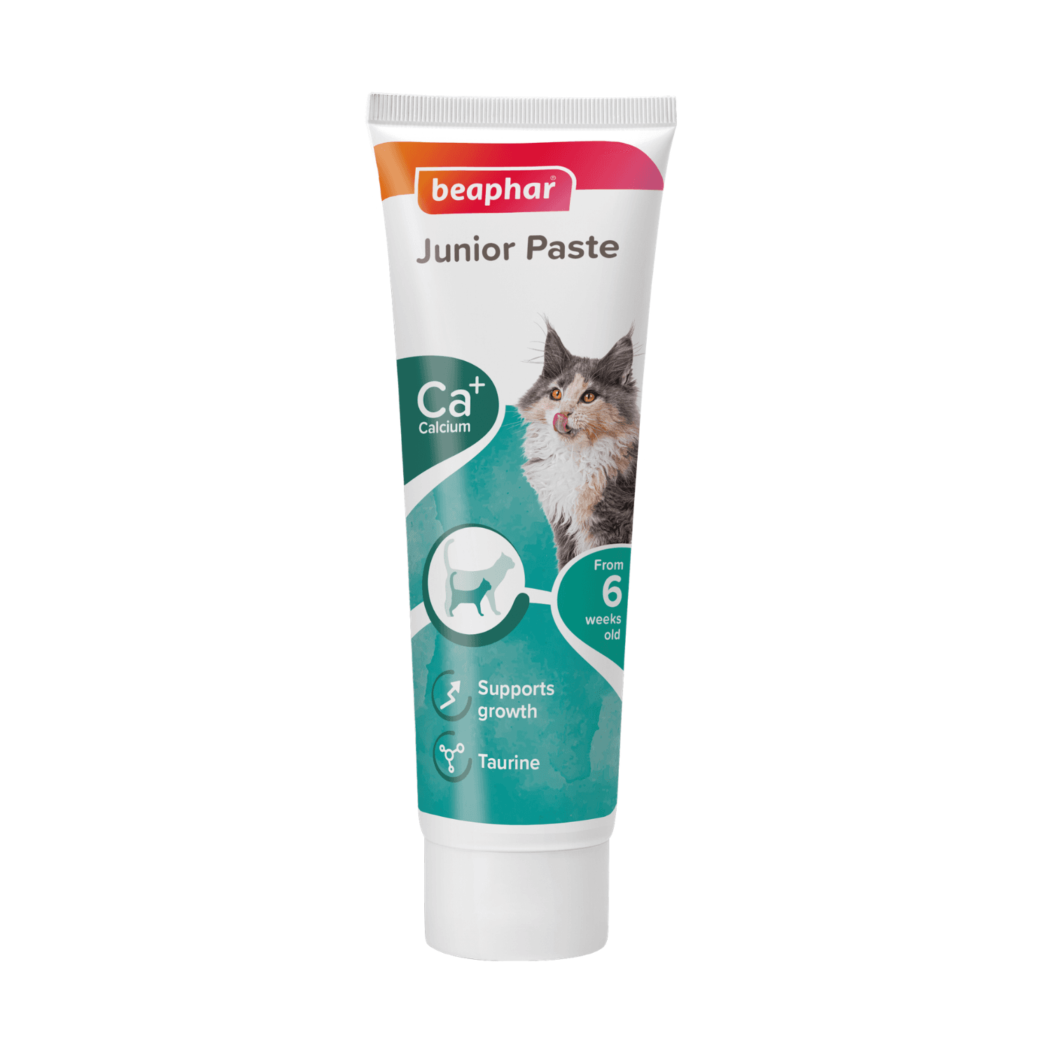 Beaphar Junior Paste pasta witaminowa dla kociąt 100 g