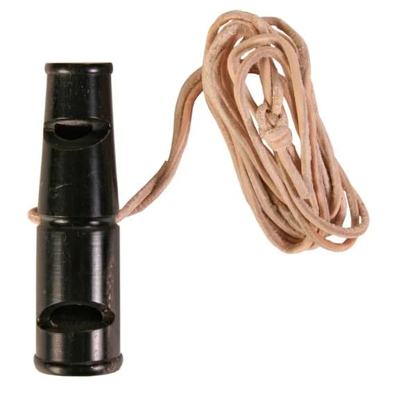 Trixie Gwizdek szkoleniowy dwutonowy – 9 cm