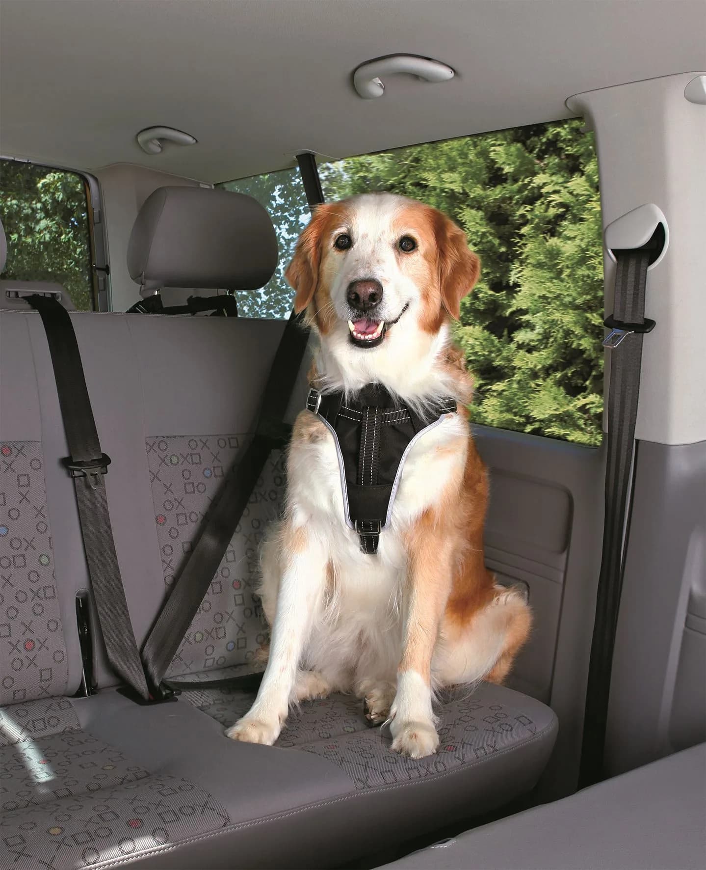 Trixie Szelki samochodowe Dog Comfort – czarny, S-M
