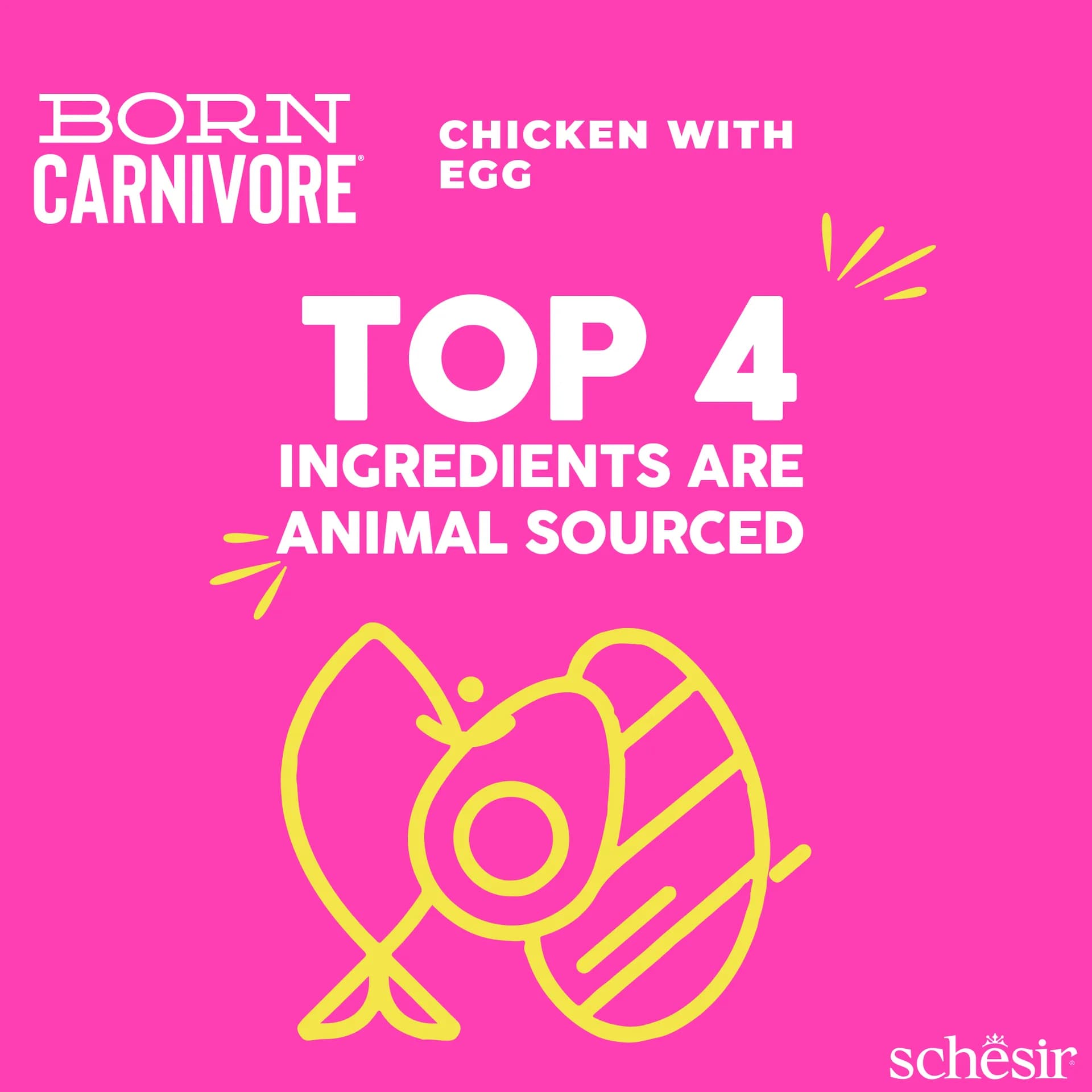 Schesir Born Carnivore karma sucha dla kociąt kurczak z jajkiem – 1,25 kg