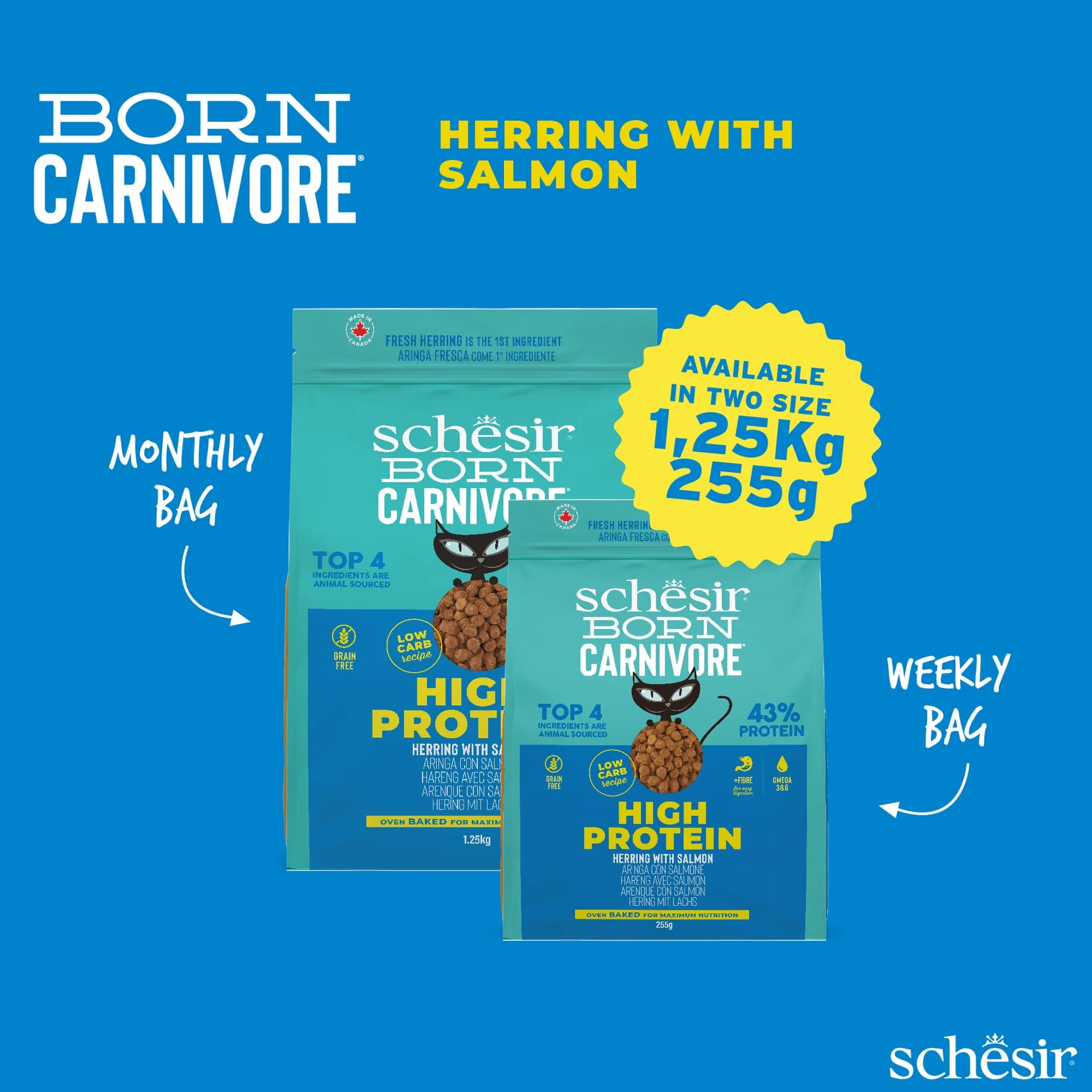 Schesir Born Carnivore karma sucha dla kotów dorosłych śledź i łosoś – 1,25 kg