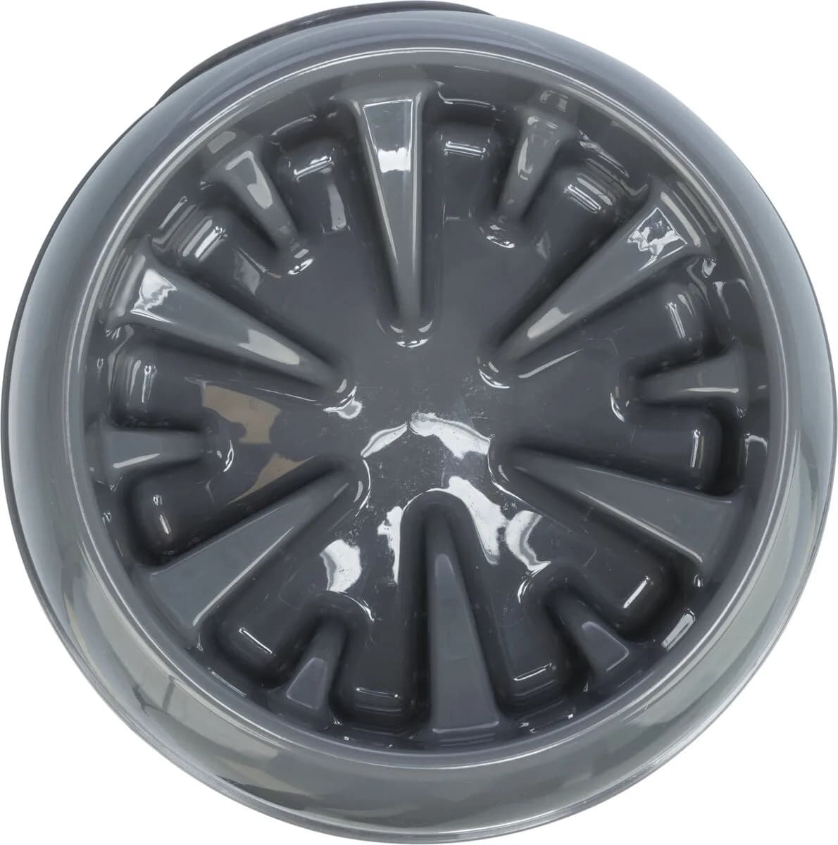 Trixie Slow Feeding, miska, dla psa/kota – 0,3 l, ø 16 cm