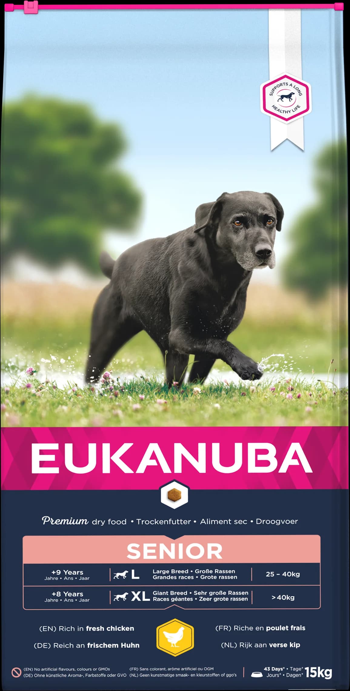 Eukanuba Dog Dry Base Senior Large Breeds Chicken dla psów starszych dużych ras – 3 kg