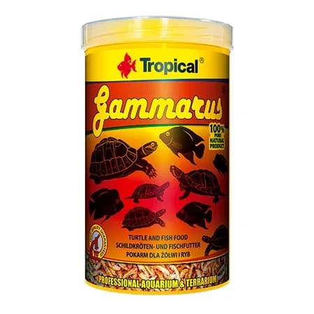 Tropical Gammarus