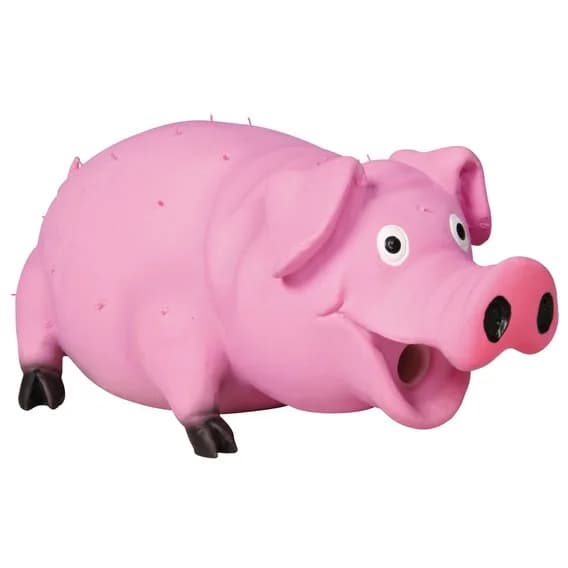 Trixie Najeżona piszcząca świnia gryzak dla psa 21 cm
