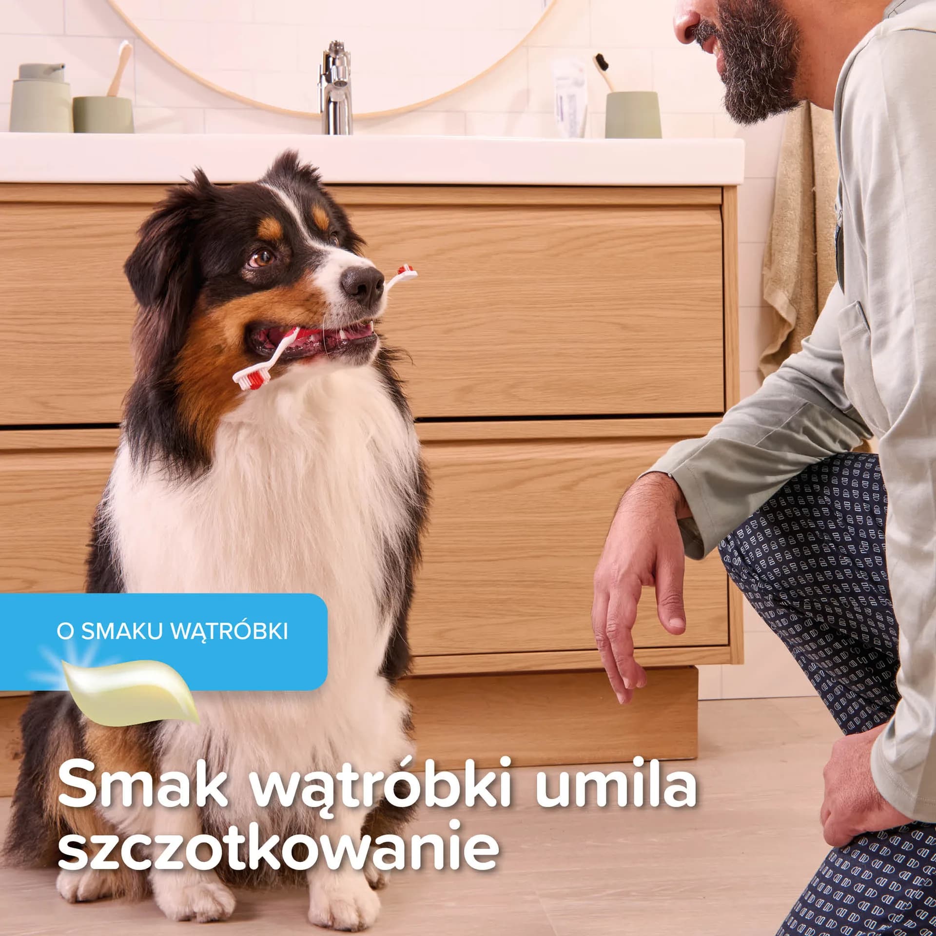Beaphar pasta do zębów dla psa i kota o smaku mięsa