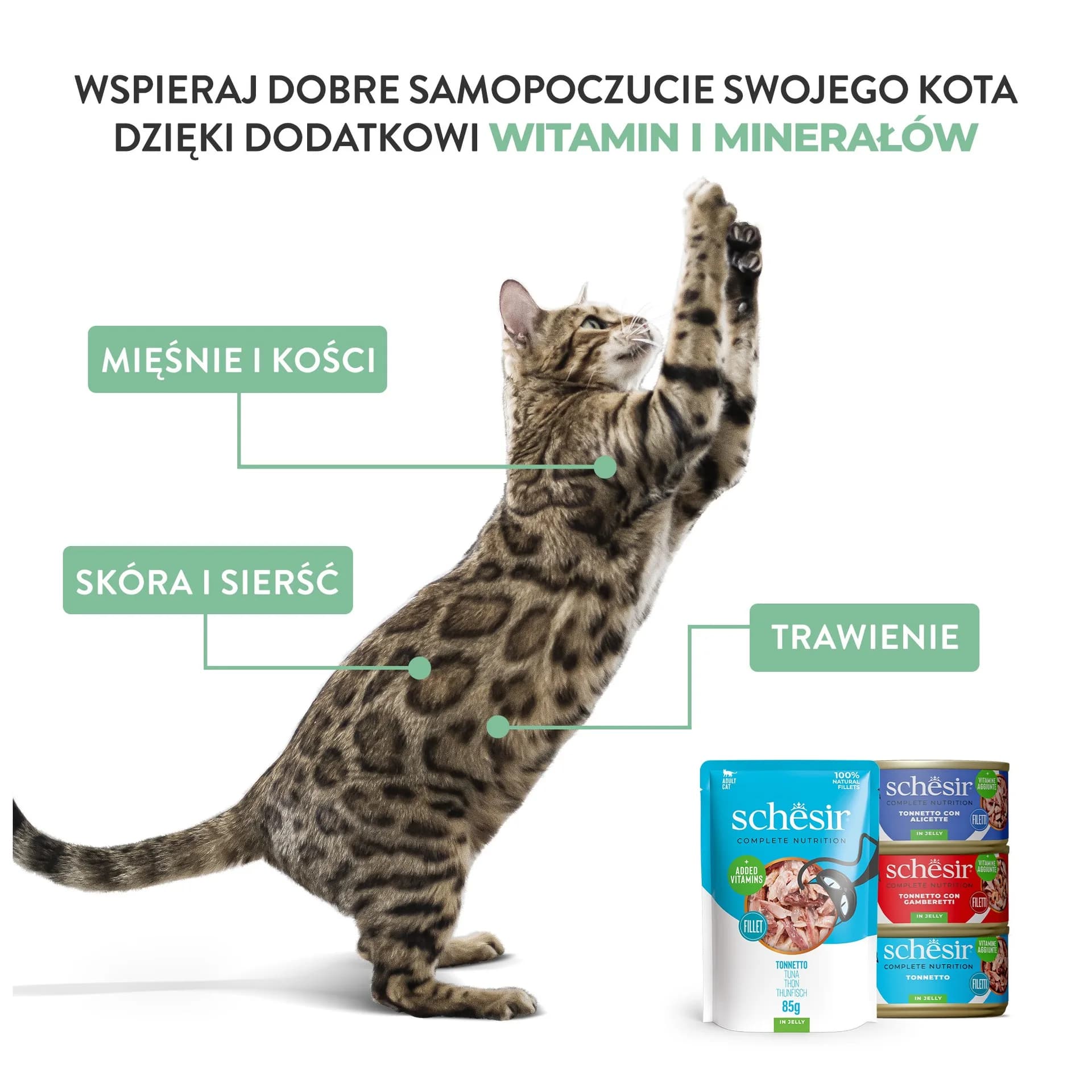 Schesir Karma mokra dla kota tuńczyk z wołowiną w galarecie – 140 g