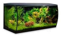 Fluval Zestaw akwarium Flex czarny 123 l