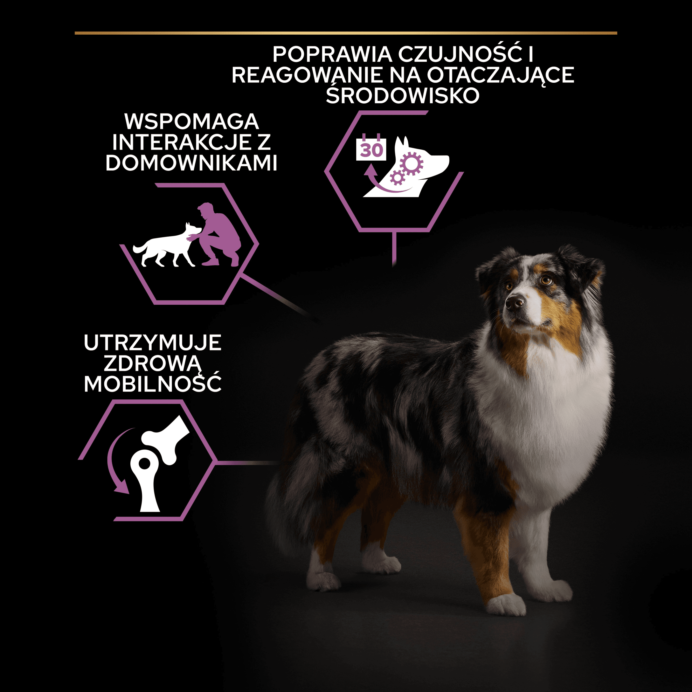 PRO PLAN Purina Medium & Large Adult 7+ Opti Age Kurczak