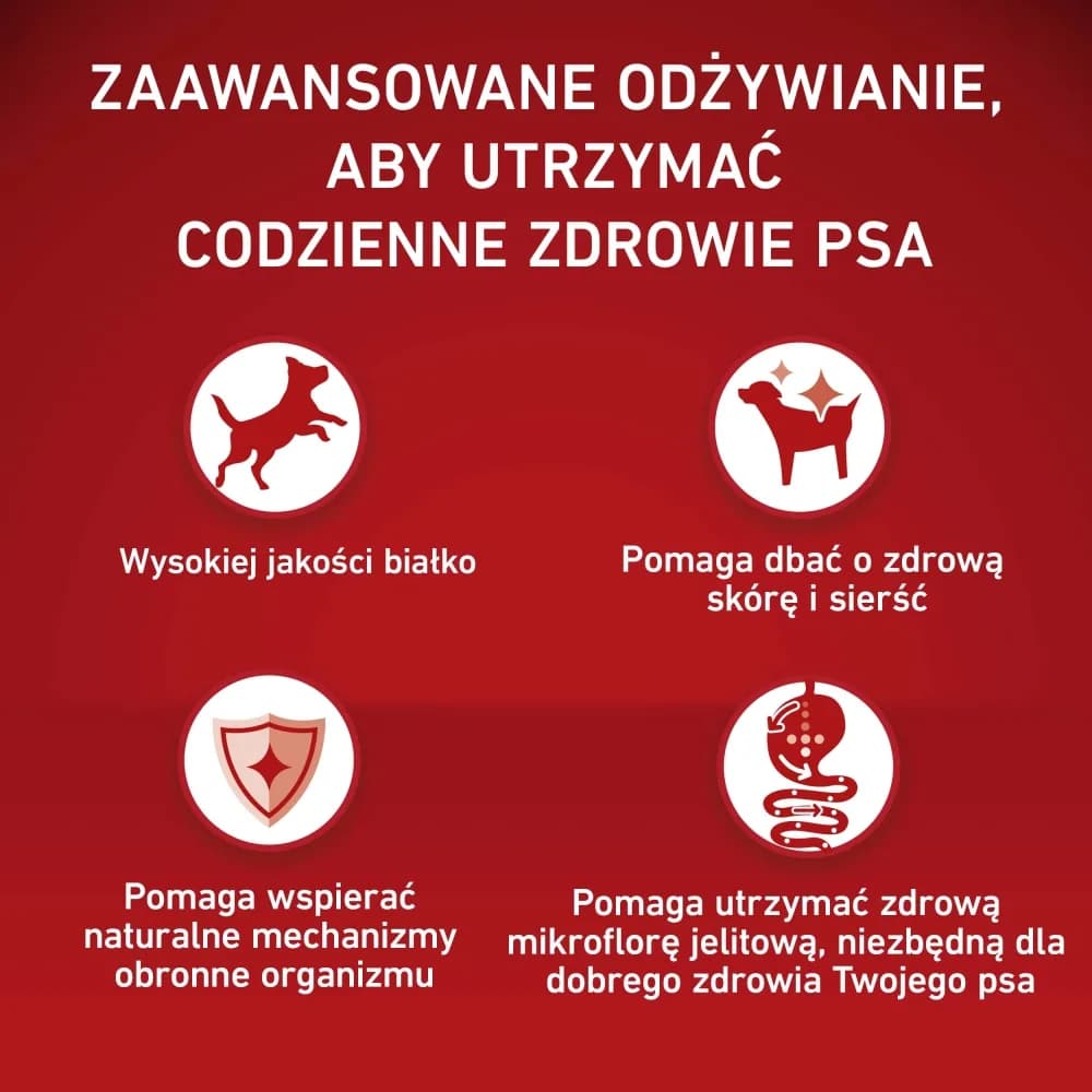 Purina ONE Adult Medium/Maxi Karma dla dorosłych psów bogata w wołowinę z ryżem – 12 kg