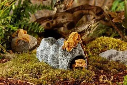 Exo-Terra Ceramiczna jaskinia Wet Rock – S