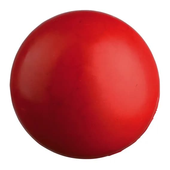 Trixie Piłeczka z naturalnej gumy unosząca się na wodzie