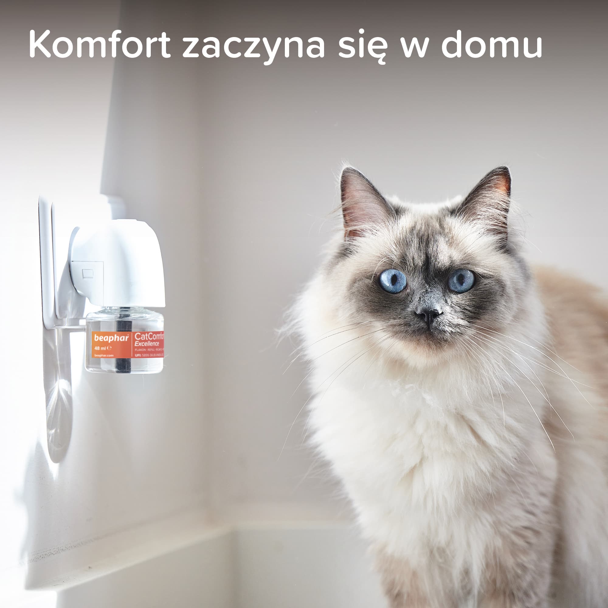 Beaphar Cat Comfort Wkład uzupełniający do dyfuzora dla kota 48 ml