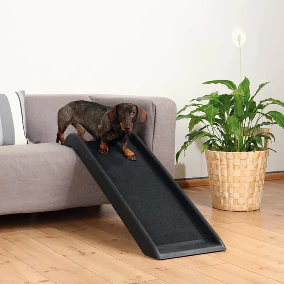 Trixie Rampa dla psa 38 x 100 cm