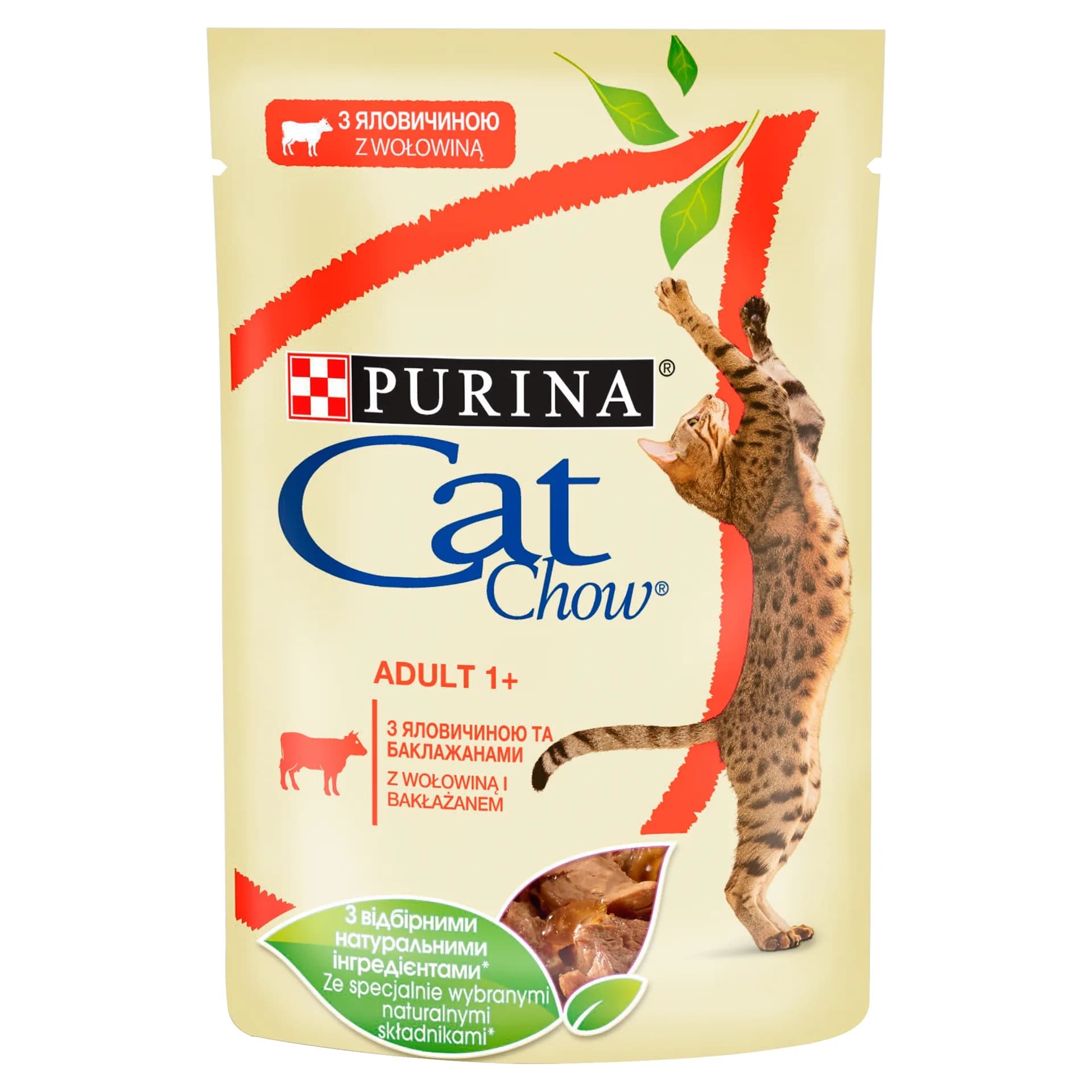 Cat Chow Purina Adult karma mokra dla dorosłych kotów wołowina i bakłażan w galaretce 85 g