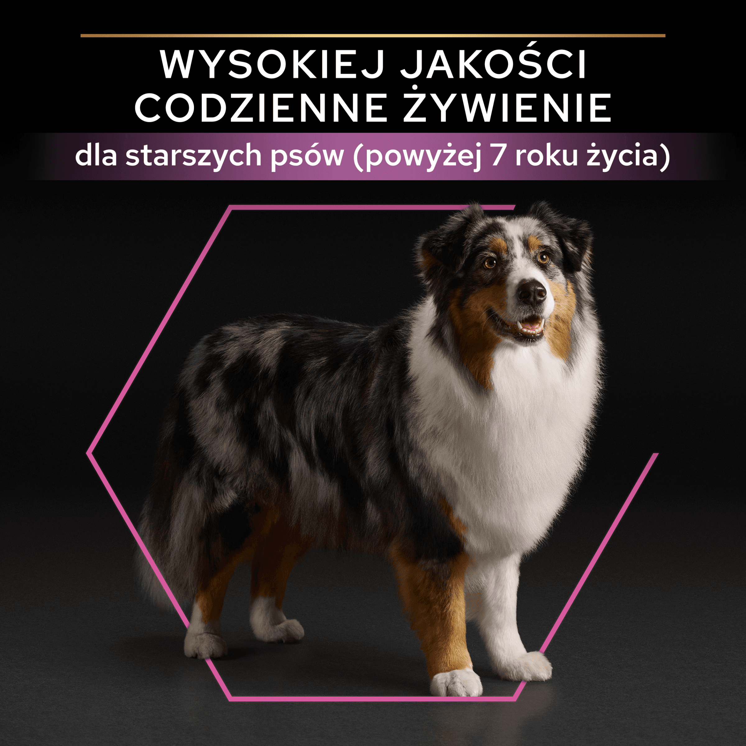 PRO PLAN Purina Medium & Large Adult 7+ Opti Age Kurczak