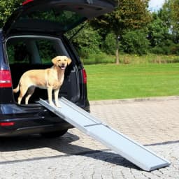 Trixie Teleskopowa kładka do samochodu umożliwiająca wyjście zwierzaka z bagażnika, aluminiowo-plastikowa Friends on Tour, Petwalk