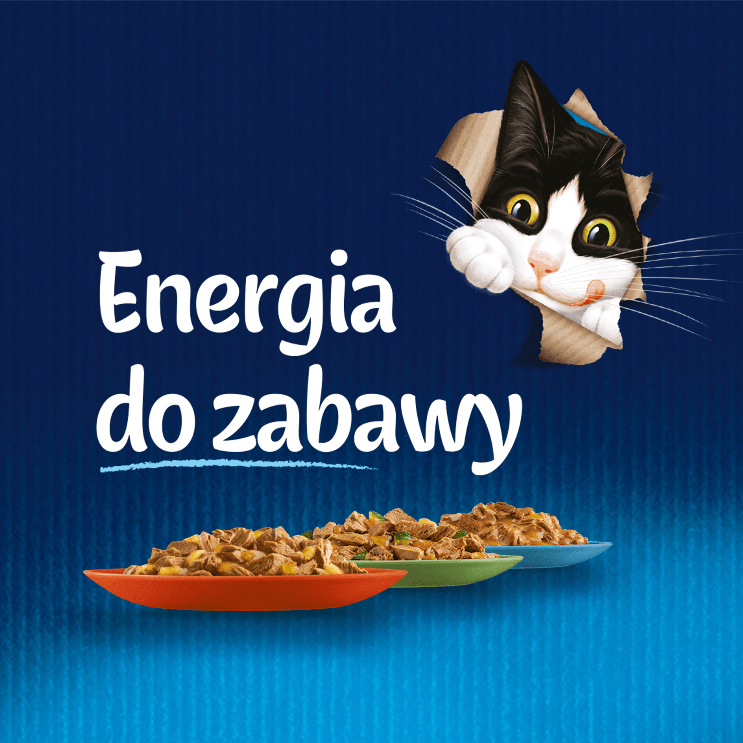 Felix Sensations saszetki karma mokra dla dorosłych kotów Ryba w sosie 4 × 85 g
