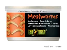 Exo-Terra Pokarm w puszce z mącznikami 34 g