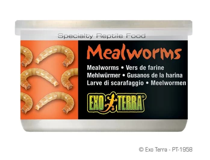 Exo-Terra Pokarm w puszce z mącznikami 34 g