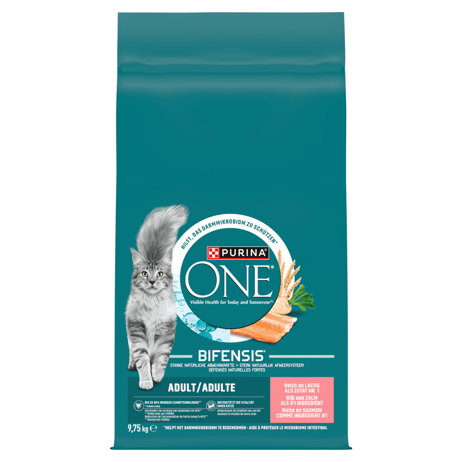 Purina ONE Adult Bifensis karma sucha z łososiem dla dorosłych kotów 9 75 kg