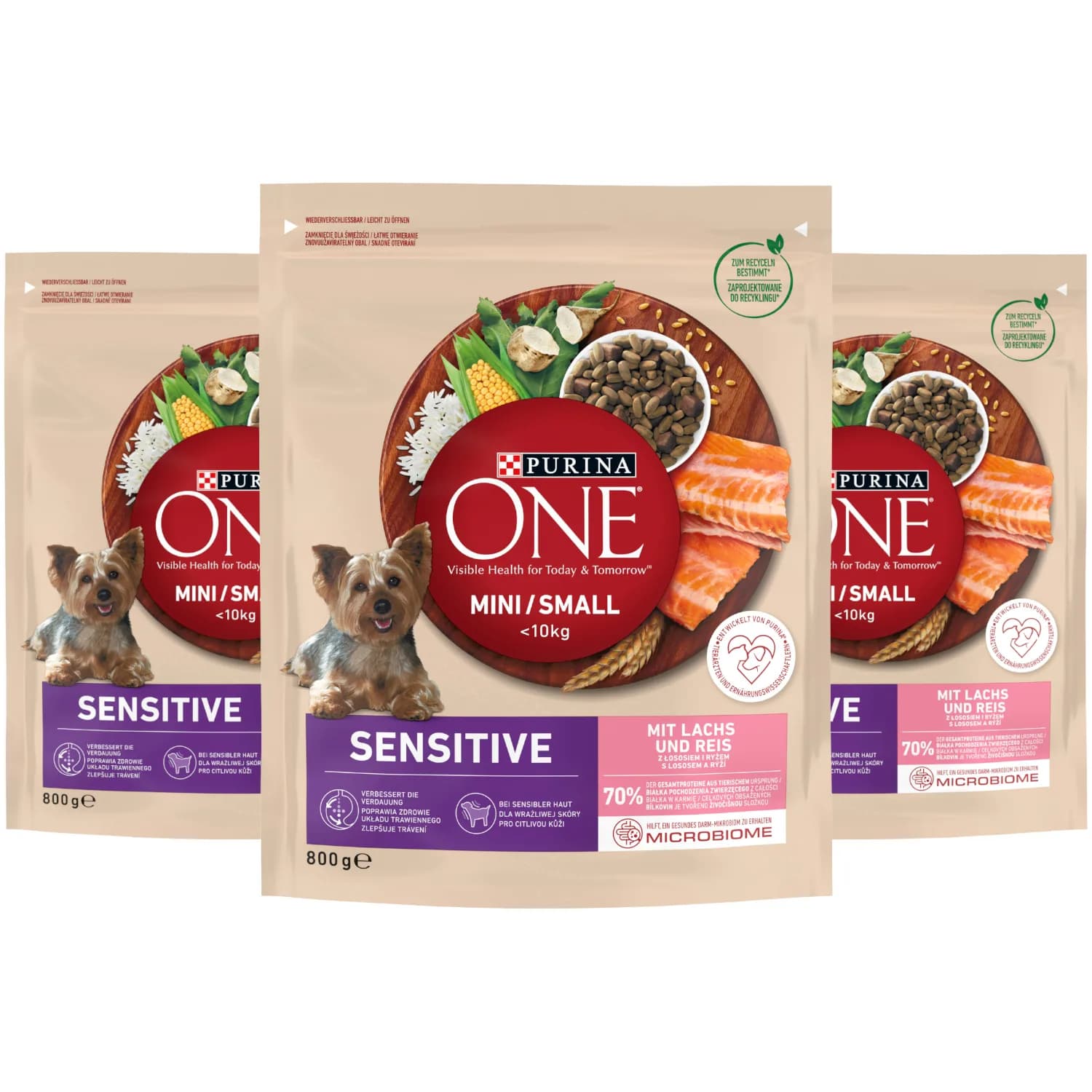Purina ONE Mini Delicate karma dla psów z łososiem i ryżem 800 g