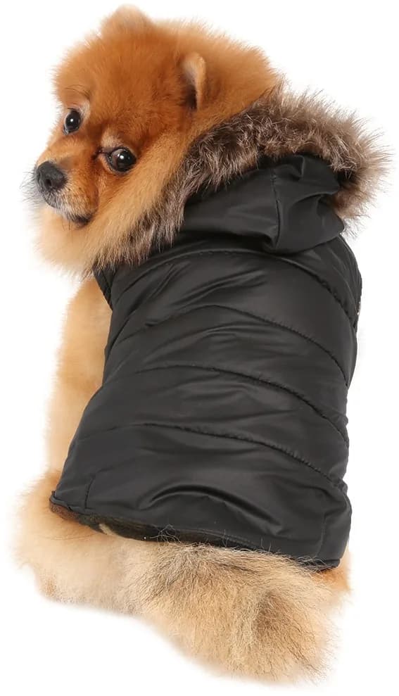 DoggyDolly czarny płaszczyk z futerkowym kapturem dla małego psa M