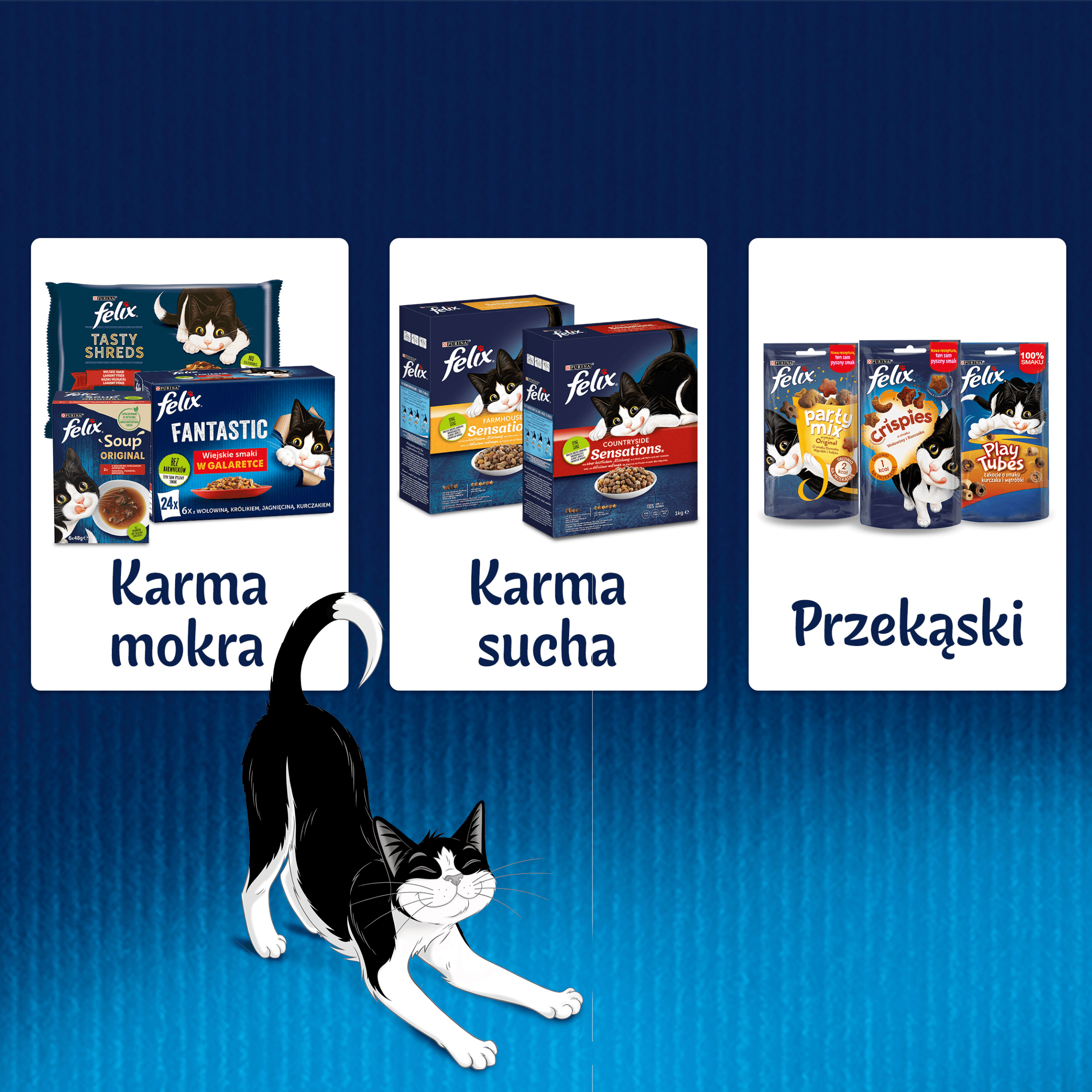 Felix Fantastic Duo saszetki dla kota karma mokra Ryba 4 × 85 g