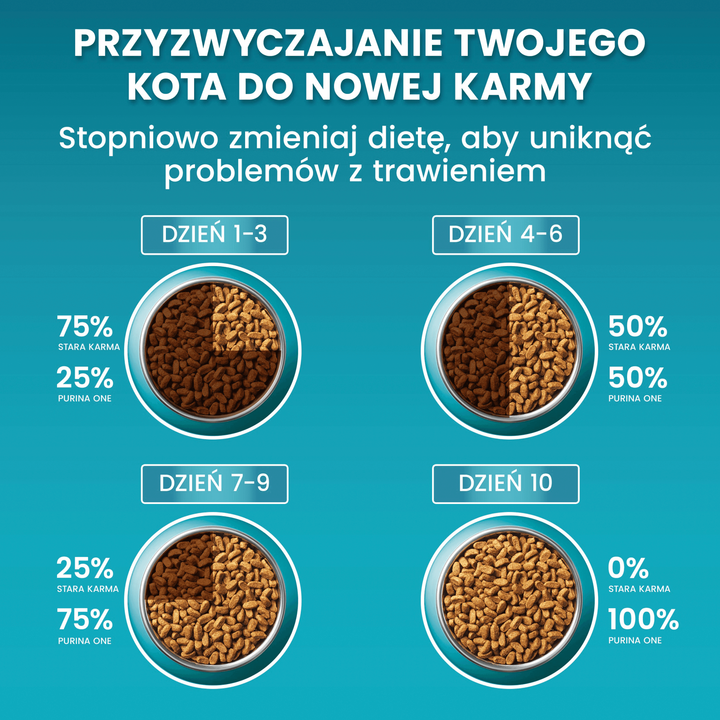 Purina ONE Adult Bifensis karma sucha z łososiem dla dorosłych kotów 9 75 kg