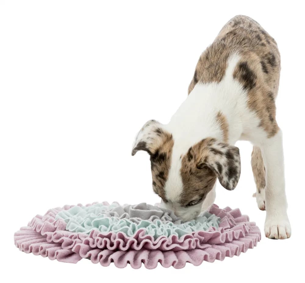 Trixie Gra aktywizująca Junior Sniffing Carpet Ø 38 cm