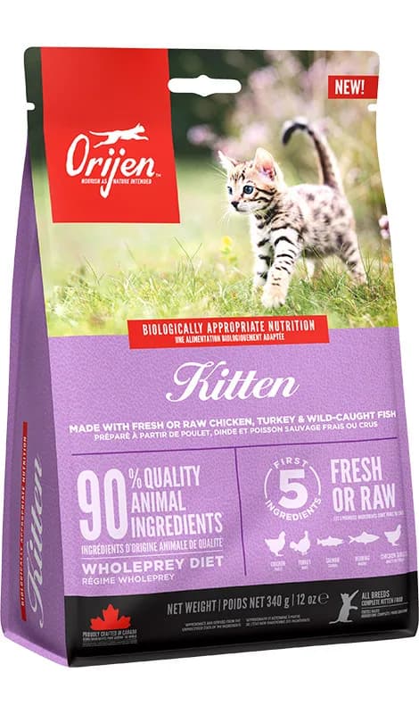 Orijen Cat & Kitten karma sucha dla kotów i kociąt – 1,8 kg