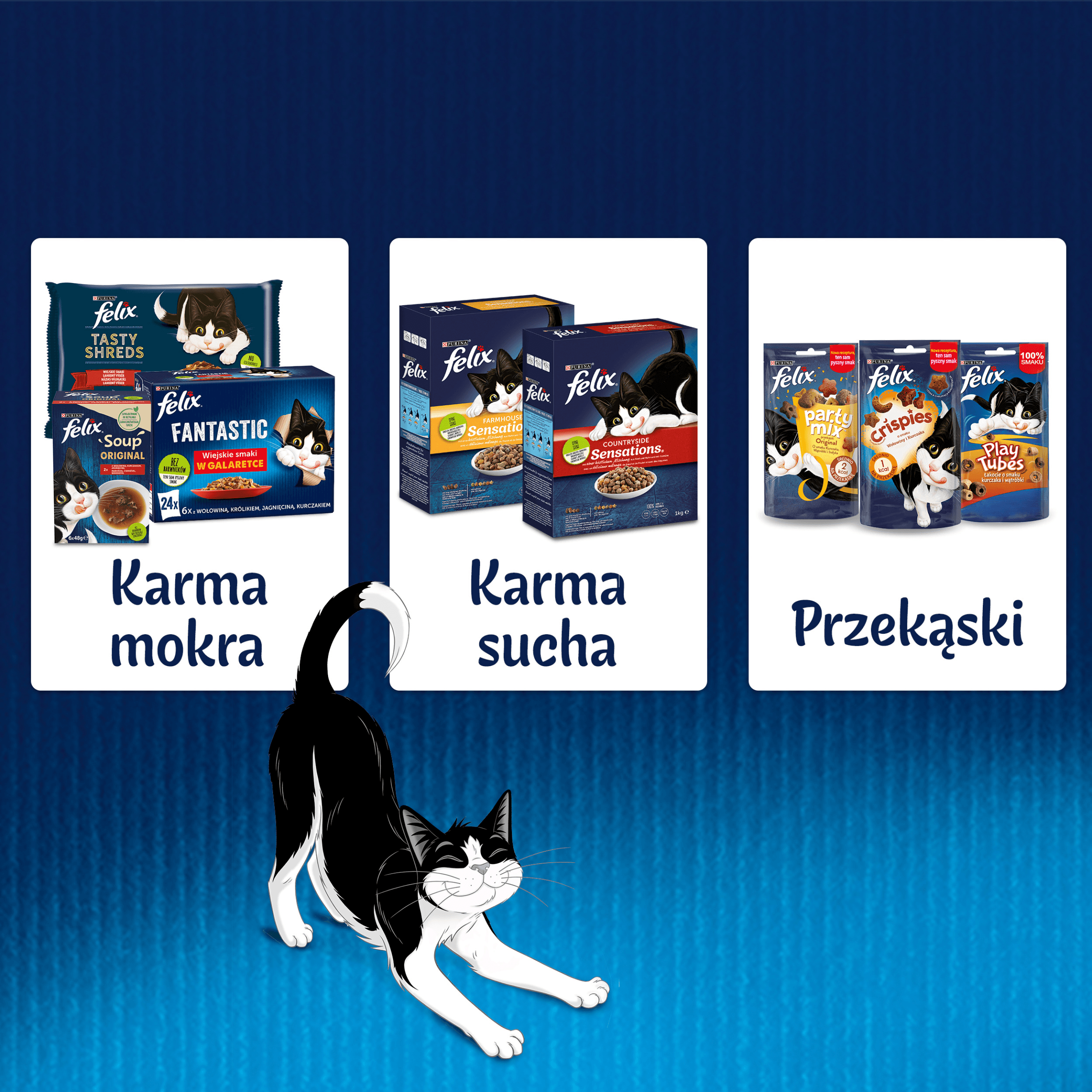 Felix Fantastic karma mokra z kurczakiem w galaretce dla dorosłych kotów 85 g