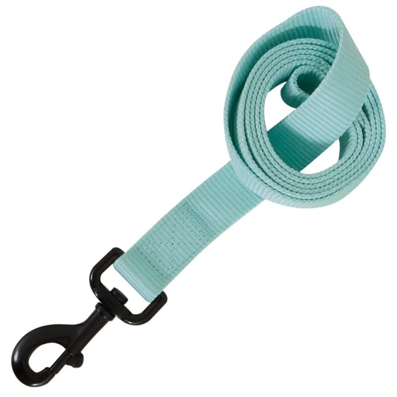 Petmate Smycz Max Glow Blue dla psa – S