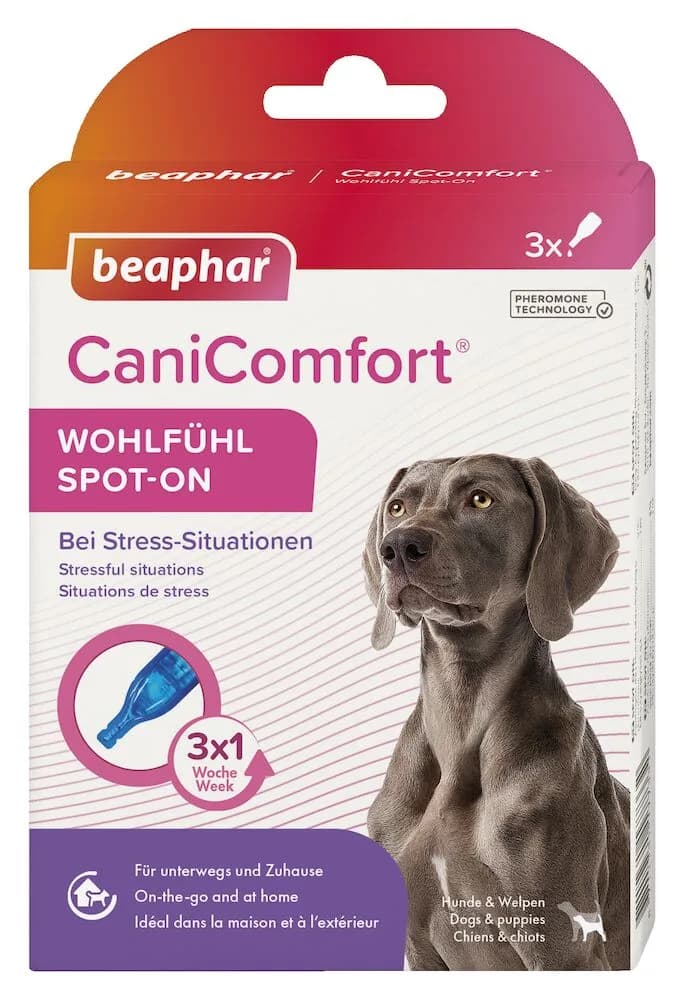 Beaphar CaniComfort Refill wkład z zawartością feromonów dla psów 48 ml