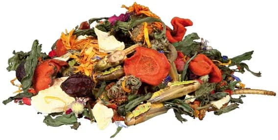 Trixie Mieszanka naturalnego pożywienia dla agamy brodatej 100 g