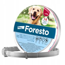 Elanco Foresto obroża dla psa długość powyżej 8 kg 70 cm