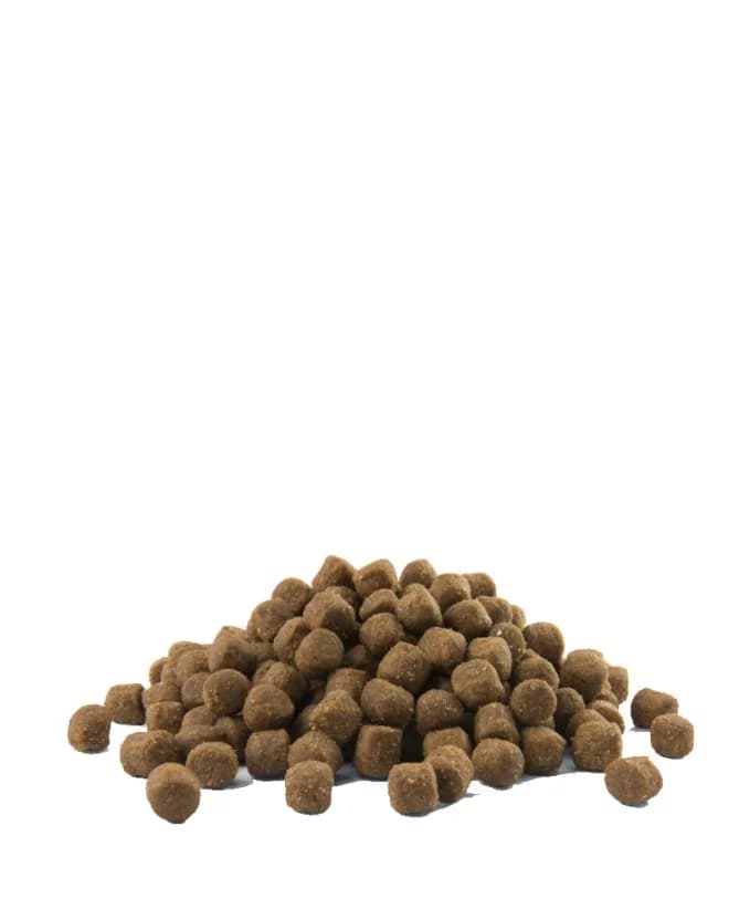 Versele-Laga Opti Life Prime Puppy Chicken karma sucha z kurczakiem dla szczeniąt wszystkich ras – 2,5 kg