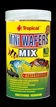 Tropical Mini Wafers mix